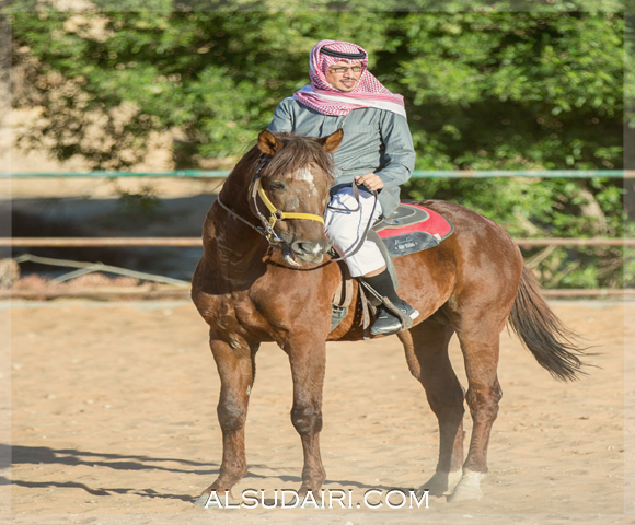 احمد بن عبدالله  بن مساعد السديري حفظه الله